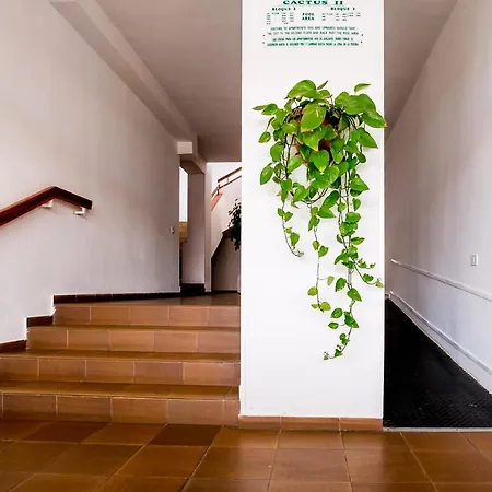 Apartmento Cactus Ii