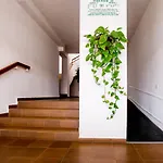 Apartmento Cactus Ii